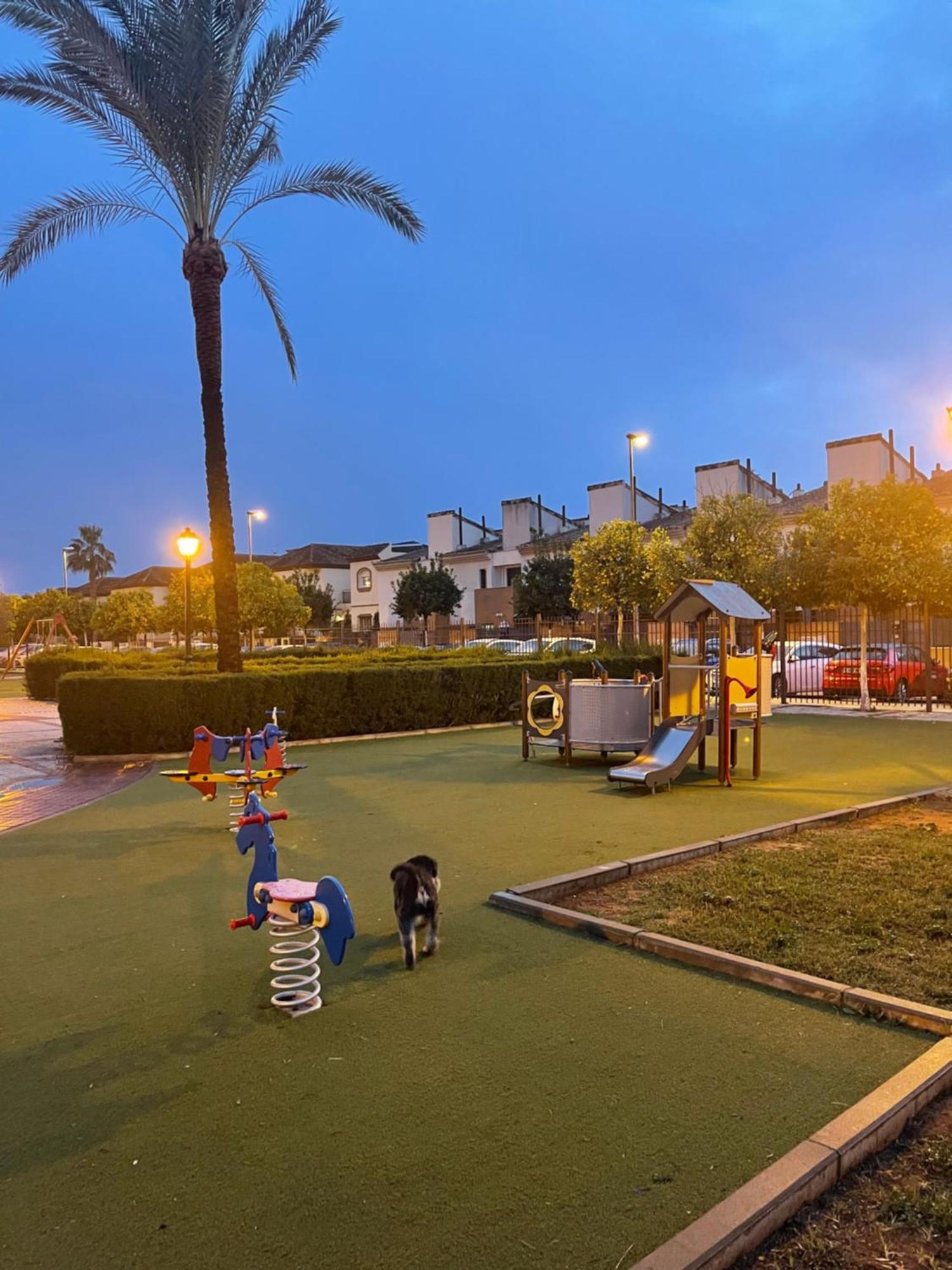 Stelarium-suite Con Bano Privado En Casa Compartida-uebica2 Mairena del Aljarafe